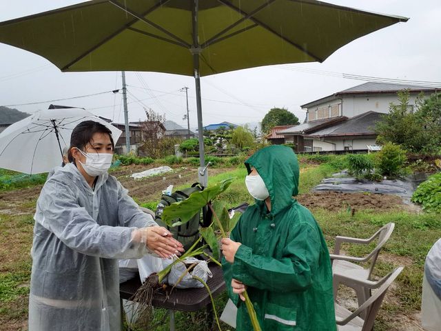 eg痎ĂJ𗘗p ̃gĝŐɌĂ Ă܂I_R؃t@[