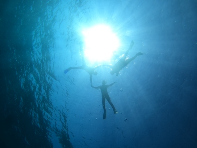 �f�G�Ȏʐ^���B���Ē����܂����B
���[���t�߃{�[�g�V���m�[�P��_�_�C�r���O�T�[�r�X�W���~���O