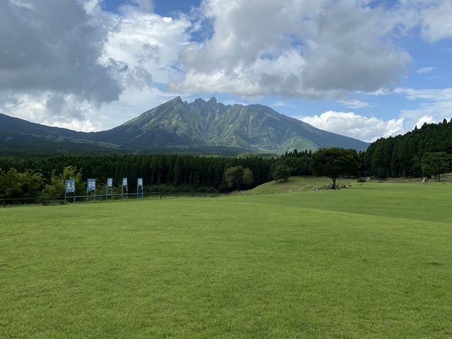 ���h�̑厩�R_����艷��