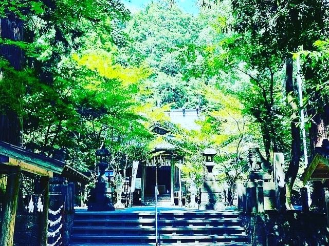 �����͗΂ɕ����A���̖����������܂��܂��B
�F�x�̘[�́A���{�̗l�q�ł��B_�F�ԋ{