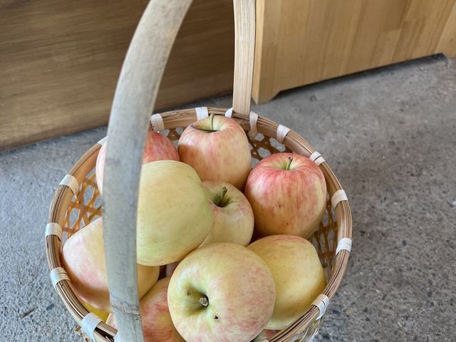 �������������S_�����_��