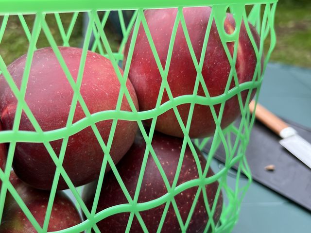 �������A��p_�����_��