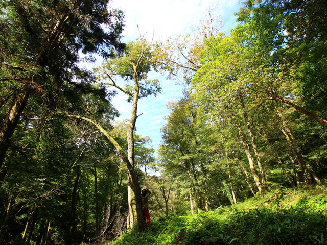 Rɐ[ցc_tHgWFjbNEAhx`[