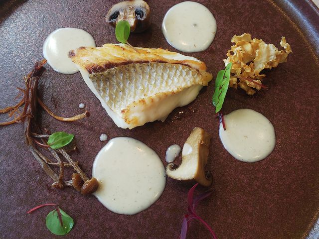 ���C���̋�����_�z�e�������g�������@���X�g�����@�T���~�P�[��