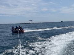 TakoSeafari Japanւ̓eʐ^1