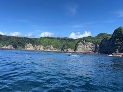 Ђ낳Seafari Japanւ̓eʐ^1