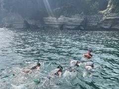 TakoSeafari Japanւ̓eʐ^1