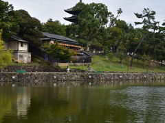 グレチンさんの興福寺（奈良県奈良市）への投稿写真1
