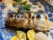 ԂƂ񂳂̖ Ƃ̓eʐ^1