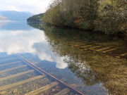 yosshy̑Rʌ΂̓eʐ^3