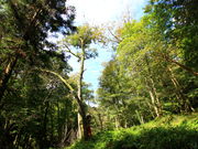 ͂Ȃт̃tHgWFjbNEAhx`[̓eʐ^1