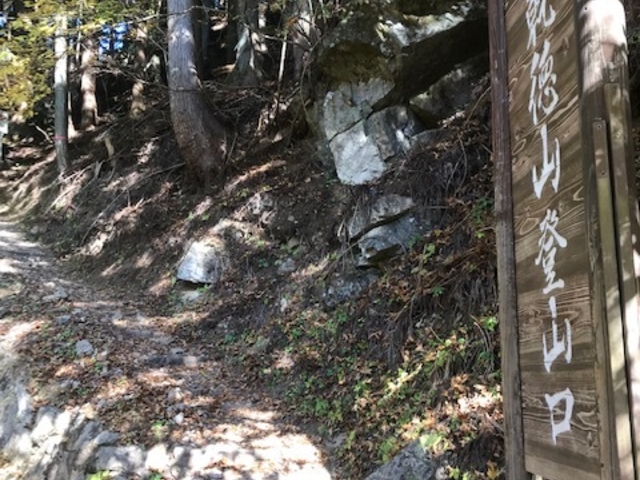 �o�R���B�����Ƃ����Ƃ͏��Ȃ��Ǝv���܂��B�o�X�₩��k���R�O���B_�����R