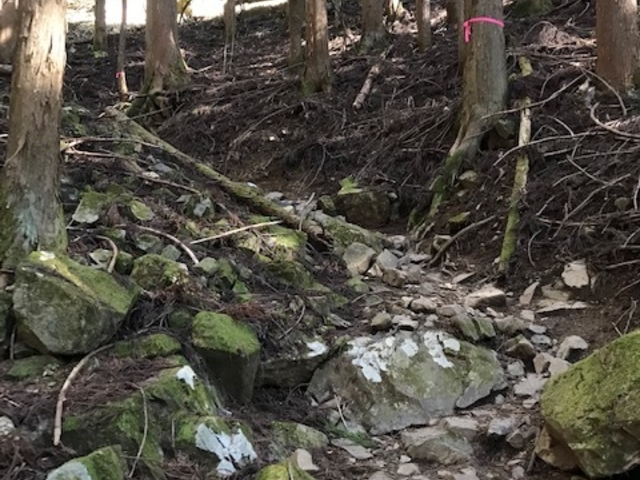 ���Ղ͗т̒��̂Â�܂肪�i���Ƒ����܂��B_�����R