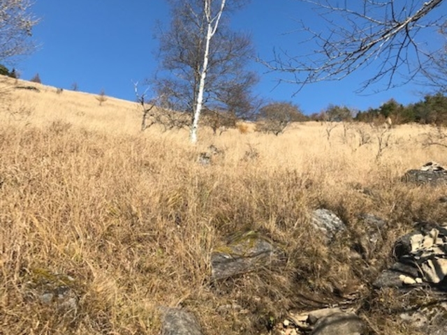 �������O�B�J���Ă܂����A���̕ӂ���Ԃ����ł��B_�����R