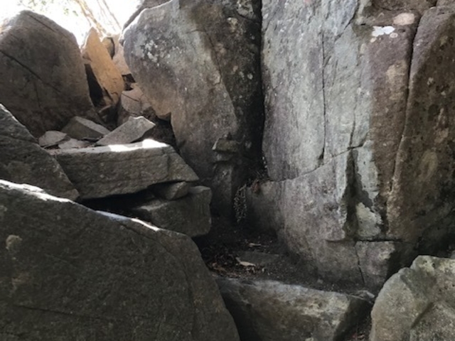 ��`�����R�B�傫�Ȋ��̃R�[�X�ɕς��܂��B_�����R