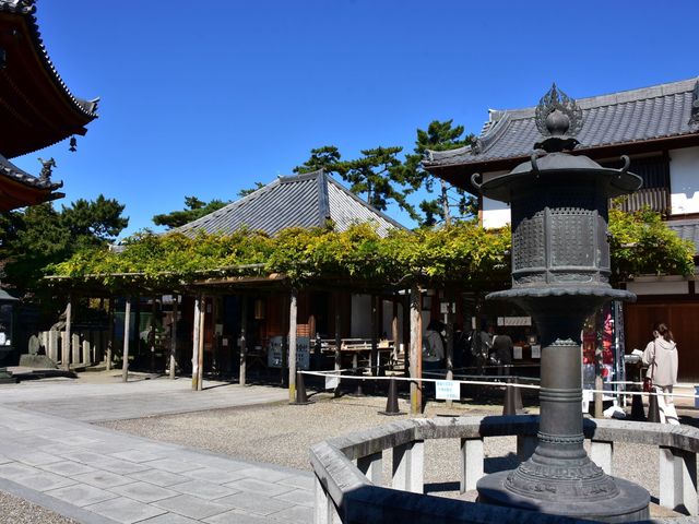 ������ ��~��_��������~��