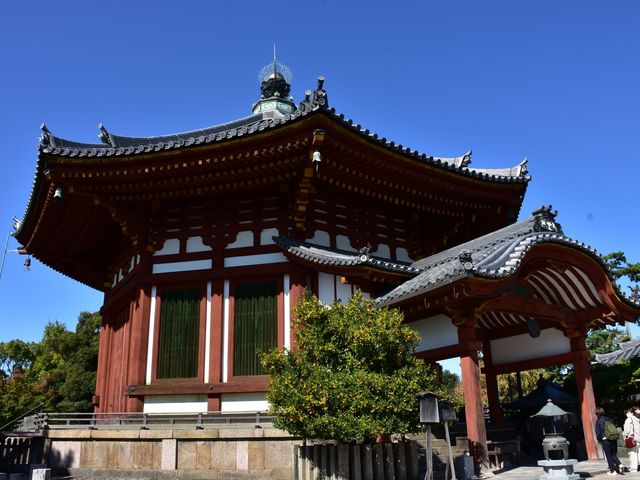 ������ ��~��_��������~��