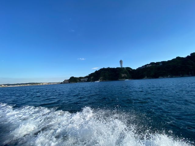 ��ƊC�ƍ]�m���I_�]�̓����[�^�[�{�[�g����