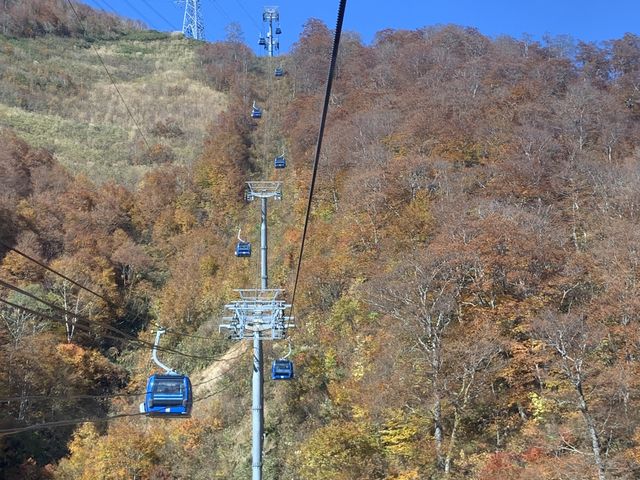 �h���S���h�����猩���i�F_�c��X�L�[��