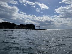 matthewSeafari Japanւ̓eʐ^1