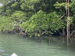 񂷂OHCUSΊ_ւ̓eʐ^1