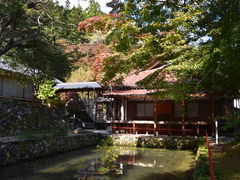 �O���`������̋ʗ����ւ̓��e�ʐ^1