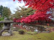 ۂ񂽂̐sْ뉀̓eʐ^1