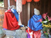 ���܂�����̌��R�������̓��e�ʐ^1