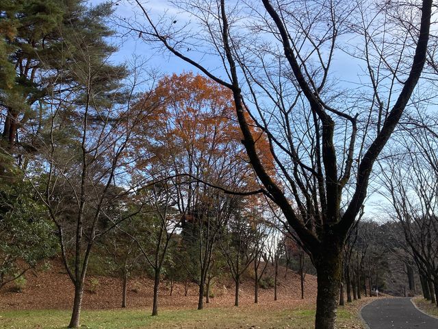 �����R�����̍�_�����R�����̍�