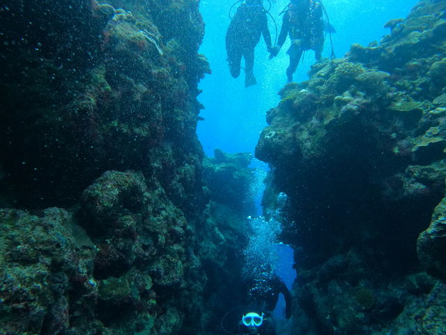 �̌��łł��鐅�[�ƁA���C�Z���X�����̐��[�������Ȃ�����������Ő��点�Ă���܂����I_�_�C�r���O�T�[�r�X�W���~���O