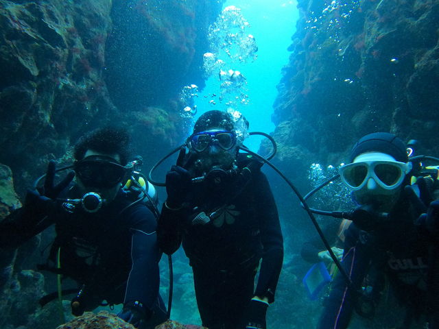 �Ƒ��̂����v���o�ł���_�_�C�r���O�T�[�r�X�W���~���O