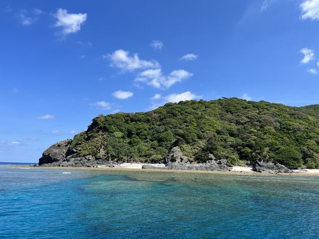 �ƂĂ��Y��ł����B_�W���C�N���G�C�g���� �e�B�[�_