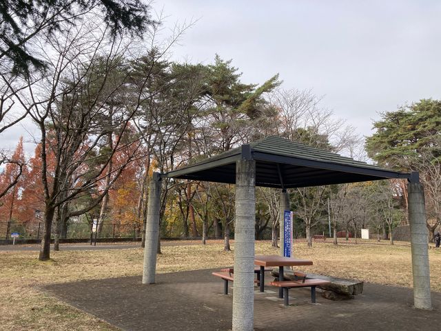 �����R�����̍�_�����R�����̍�