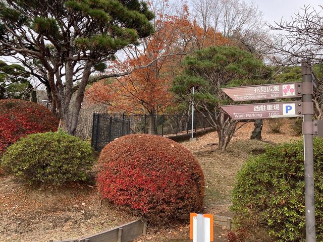 �����R�����̍�_�����R�����̍�