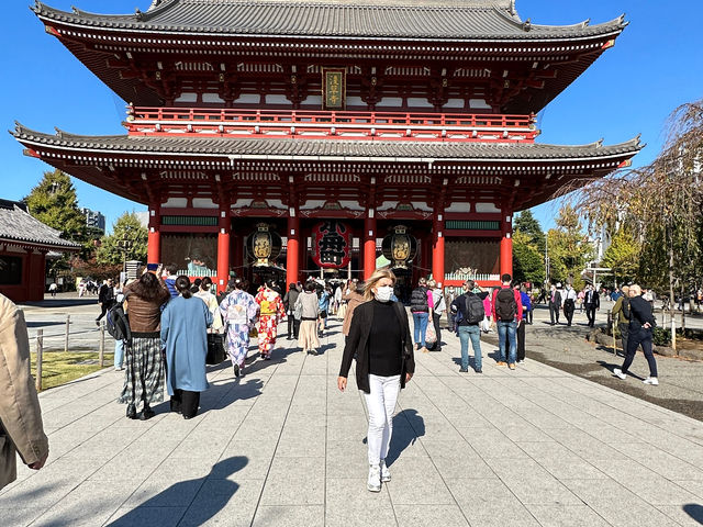 �ό��q�����ł�_�󑠖�