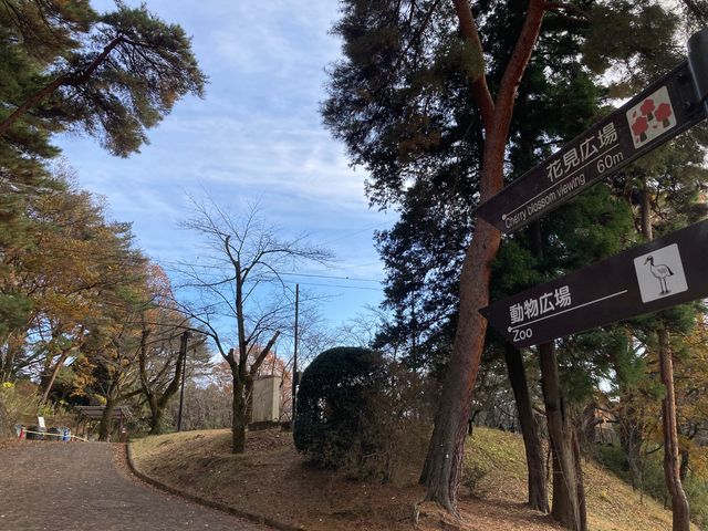 �����R�����̍�_�����R�����̍�