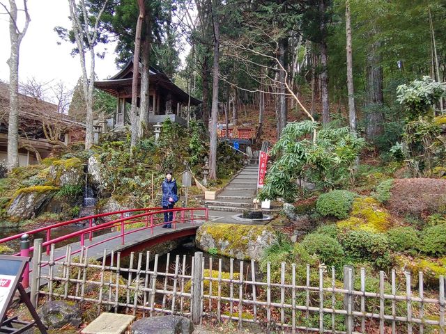 {wʂ́uVcˁv̂뉀_ɊyR