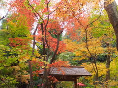 jR񂳂̈bώRւ̓eʐ^1