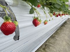 roro̕ct@[@x[ւ̓eʐ^1