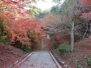 �������̗������^���݂��̓��e�ʐ^6