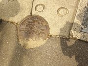 zin̍`{wՁi͂܎Rj̓eʐ^1