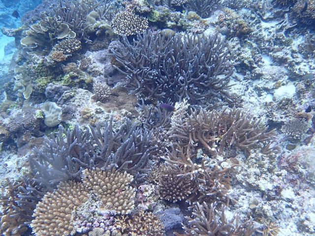 �c�ǊԂ��Y��ȎX�肪�����ς��ł���_�W���C�N���G�C�g���� �e�B�[�_