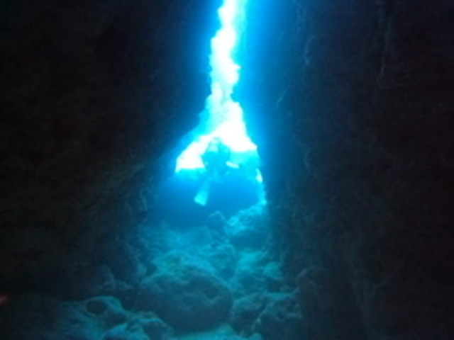 �y���������Ȃ��[_DS natura