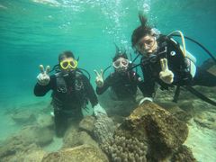 hisã_Cu (MalDive)ւ̓eʐ^1