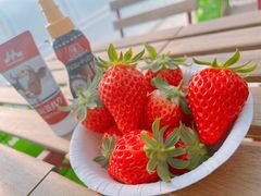 [䂳ichigos Yokohama-C`SXlւ̓eʐ^1