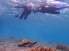 Mkazu85imtida{Óւ̓eʐ^1