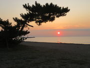 Xv[gjŇۃPYC݂̓eʐ^2