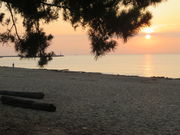 Xv[gjŇۃPYC݂̓eʐ^3