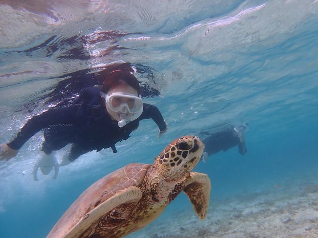 �J������ƃJ���U��_Reeftour HONEY