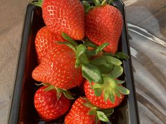 ₷joumonfarmi傤ӂ[ށjւ̓eʐ^1